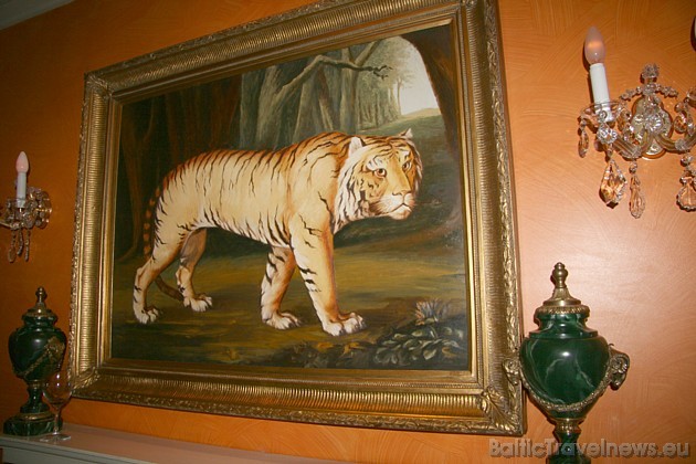 2010. gads ir tīģera gads 38626