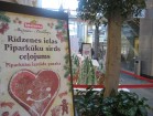28.12.2009 Iļģuciema maiznīcas-konditorejas radītā piparkūku izstāde – pasaka „Rīdzenes ielas piparkūku sirds ceļojums” kā dāvinājums aizceļos uz Bērn 19
