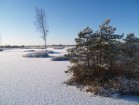Sniega Igaunijā ir daudz - un cilvēki to izmanto... 3