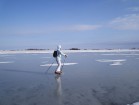 Igaunijā var nodarboties arī ar interesanto slēpošanas un slidošanas apvienojumu 7