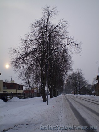 Foto: Solveiga S. 39196
