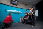 Vankūvera bagāta ar ūdens atrakcijām - arī akvaparkiem un delfinārijiem
Foto: Tourism Vancouver 12