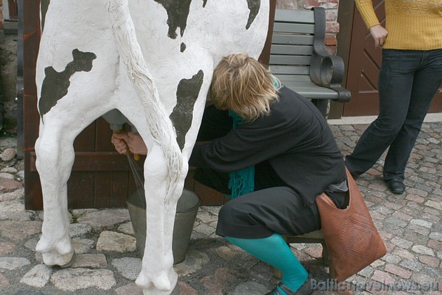 Piena muzejs ir vienīgais muzejs Latvijā, kas veltīts piensaimniecības vēsturei Latvijā 43694