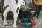 Piena muzejs ir vienīgais muzejs Latvijā, kas veltīts piensaimniecības vēsturei Latvijā 4