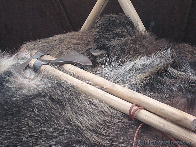 Vikingu laivas piederumi 44663