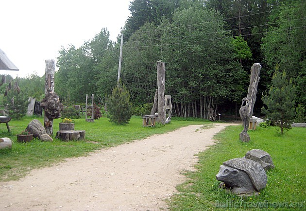 Vienkoču parks popularizē dabas materiālu izmantošanu, bet visvairāk koku, no kā top izstrādājumi no viena koka gabala Vienkoču parks popularizē dabas materiālu izmantošanu, bet visvairāk koku, no kā top izstrādājumi no viena koka gabala 45181