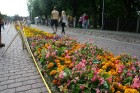 Garākā ziedu paklāja tapšana notika par godu Ventspils 720 gadu jubilejai 2
