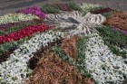 Baltijas ziedu paklāju festivāla eksponāts 28