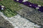 Baltijas ziedu paklāju festivāla eksponāts 29