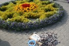 Baltijas ziedu paklāju festivāla eksponāts 31