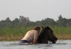 Zirga peldināšana Sīvera ezerā 6