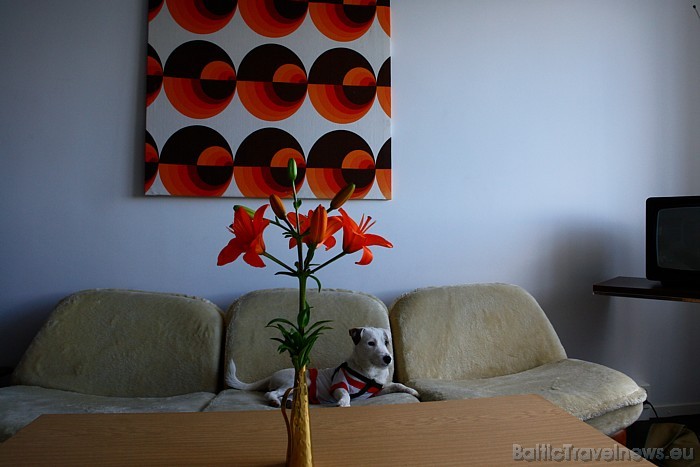 Hostelis Ostel ietilpst vairākos sarakstos, kuros uzskaitītas mazbudžeta pārnakšņošanas iespējas Vācijas galvaspilsētā. Neskatoties uz to, Ostel ir di Hostelis Ostel ietilpst vairākos sarakstos, kuros uzskaitītas mazbudžeta pārnakšņošanas iespējas Vācijas galvaspilsētā. Neskatoties uz to, Ostel ir di 48934