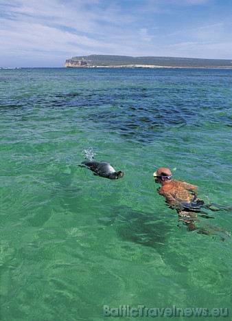 Niršana ir ļoti iecienīts tūristu vaļasprieks Austrālijā
Foto: SATC 49409
