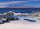 Tur iespējams doties vērot vaļus Indijas okeānā
Foto: South African Tourism 2