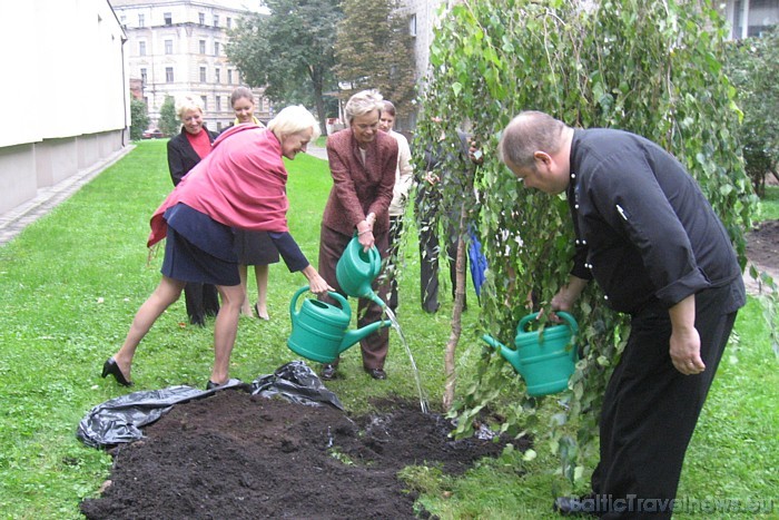 2007. gadā Kanādas vēstnieks iestādīja kļavu, 2008. gadā Norvēģijas vēstnieks – lapegli, 2009. gadā Itālijas vēstnieks – cipresi, bet šogad 2010. gadā 2007. gadā Kanādas vēstnieks iestādīja kļavu, 2008. gadā Norvēģijas vēstnieks – lapegli, 2009. gadā Itālijas vēstnieks – cipresi, bet šogad 2010. gadā 50239