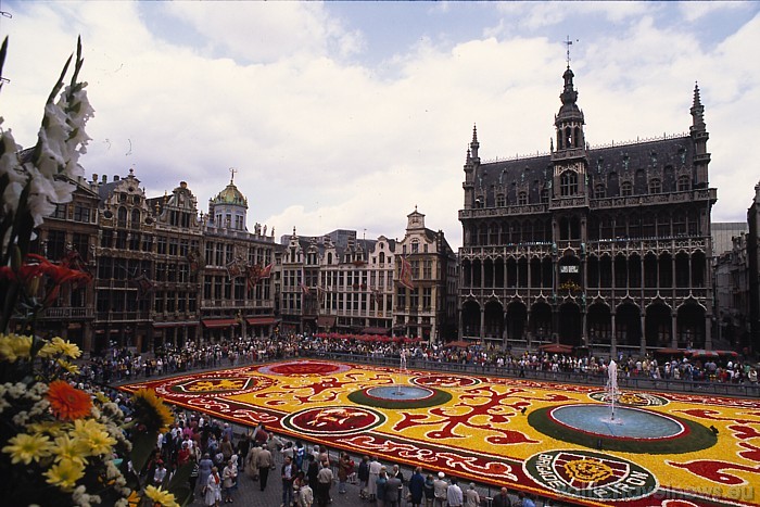 Viens no populārākajiem pasākumiem Briselē ir ikgadējais puķu paklāja festivāls - ziedu paklāja radīšanai tiek izmantotas tūkstošiem begoniju
Foto: C 50735