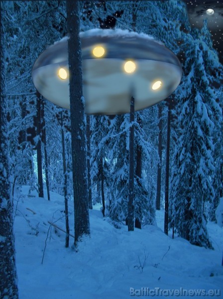 Viens no viesnīcas numuriem ir UFO - nezināms lidojošs objekts kokos. Tajā ir ir viena divvietīga gulta un divas gultas bērniem
Foto: © Treehotel 51168