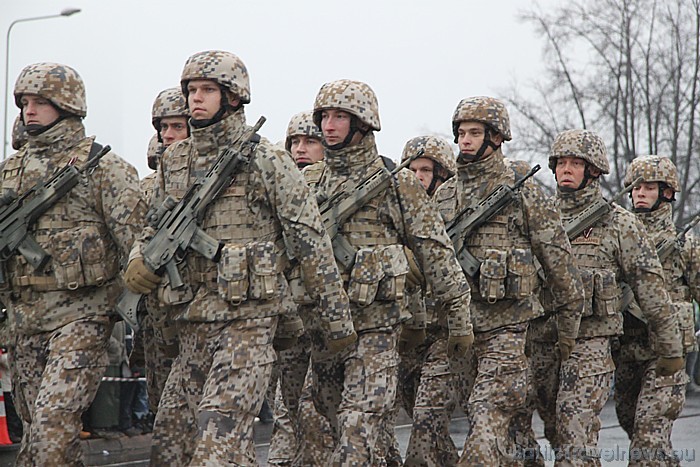 Militārajā parādē bruņotos spēkus pārstāvēja Sauszemes spēku kājnieku brigādes vienība, kuras karavīri ierindas priekšgalā nesa Latvijas armijas karog 52289