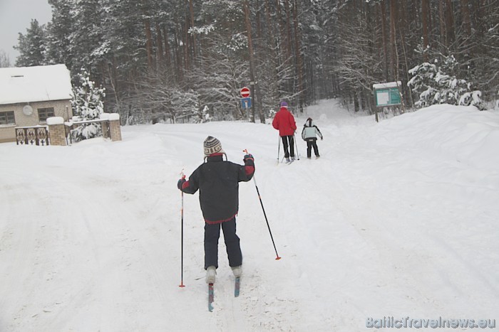 Ziemā aktīvās atpūtas dabas taku iecienījuši gan lieli, gan mazi distanču slēpotāji 53182