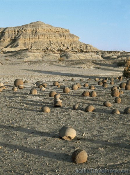 Argentīna sastopama gan plaša floras un faunas dažādība, gan tuksnešaini apvidi ar vienmuļu reljefu
Foto: © argentina.travel 54184