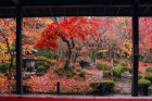 Japānā divas reizes gadā tradicionāli pienāk ceļošanas un dabas vērošanas laiks - tā ir ķiršu ziedēšana pavasarī un kļavu lapu krāsošanās rudenī
Foto 13