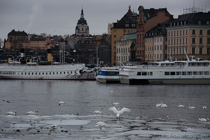 Tallink no Rīgas piedāvā kruīzus uz Zviedrijas galvaspilsētu Stokholmu
Foto: Juris Ķilkuts/www.fotoatelje.lv 54276
