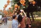 Taivānas iedzīvotāji un viesi arī paši izrotā parkus ar laternām
Foto: Tourism Bureau, Ministry of Transportation & Communications , R.O.C. 13
