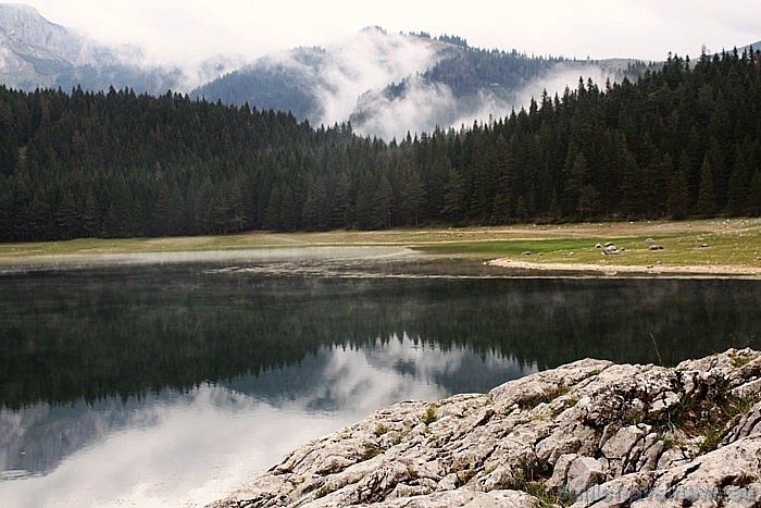 Skaistā Balkānu valsts Serbija tiek uzskatīta par to Eiropas stūrīri, kur patiešām var apskatīt neskartu dabu
Foto: Vita Kūlīte, Relaks Tūre Skaistā Balkānu valsts Serbija tiek uzskatīta par to Eiropas stūrīri, kur patiešām var apskatīt neskartu dabu
Foto: Vita Kūlīte, Relaks Tūre 54569