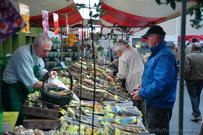 Dārza rūķi varēs apmeklēt speciālu puķu sīpolu tirdziņu 
Foto: PR Keukenhof 54891