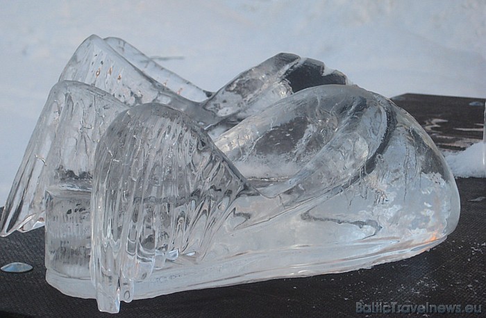 Ledus skulptūra 55304