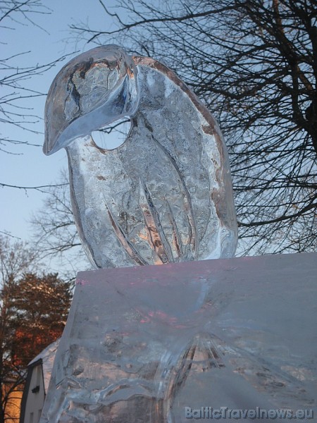 Ledus skulptūra 55306