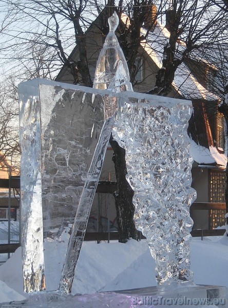 Ledus skulptūra 55307