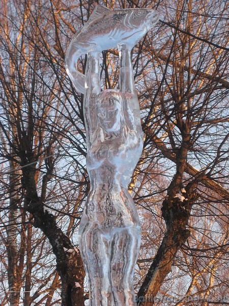 Ledus skulptūra 55312