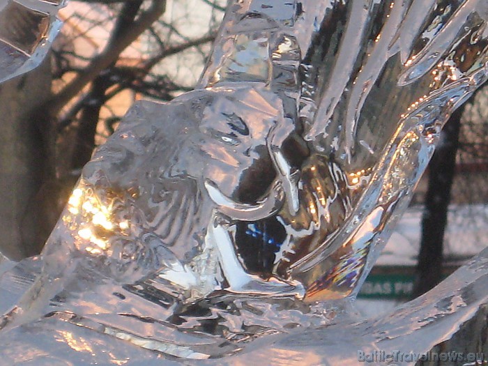 Ledus skulptūra 55315