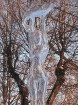 Ledus skulptūra 27