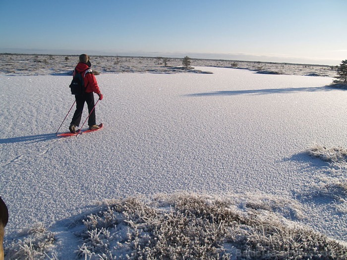 Igaunijas atbildīgās iestādes ļauj sākt lietot ledus ceļu, ja jūras ledus sega ir vismaz 25 centimetru bieza
Foto: Visit Estonia/Aivar Ruukel 55878