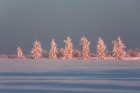 Ceļa garums pār aizsalušās Baltijas jūras ledu ir 26 kilometri, tādējādi tas ir garākais ledusceļš pasaulē
Foto: Visit Estonia/Jaak Nilson 2