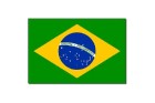 5. vietu ieņem Brazīlija. Apli šķērso lente ar valsts moto uzrakstu. Zaļā krāsa simbolizē Amazones mežus un zeltenā - zelta rezerves 16