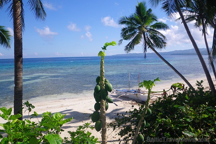 Šeit ir lieliskas iespējas saskarties ar reālu filipīniešu dzīvi, tā ir arī īsta bakpakeru paradīze savu izmaksu un pirmatnības ziņā. Siguijor sala
F 58175