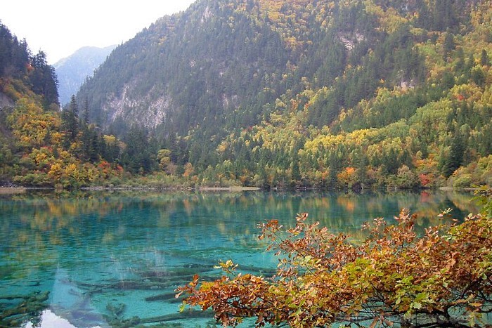 Jiuzhaigou upe atrodas Ķīnā. Tā apbur cilvēkus ar krāsaino apkārtni un dzidro ūdeni
Foto: Terre.sans.frontiere.free.fr Jiuzhaigou upe atrodas Ķīnā. Tā apbur cilvēkus ar krāsaino apkārtni un dzidro ūdeni
Foto: Terre.sans.frontiere.free.fr 58450