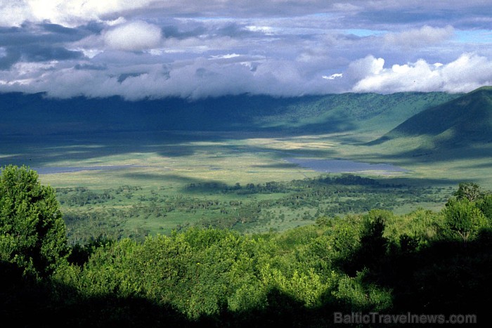 Ngorongoro krāteris ir milzīgs krāteris Serengeti parka nomalē Tanzānijā
Foto: Terre.sans.frontiere.free.fr Ngorongoro krāteris ir milzīgs krāteris Serengeti parka nomalē Tanzānijā
Foto: Terre.sans.frontiere.free.fr 58457