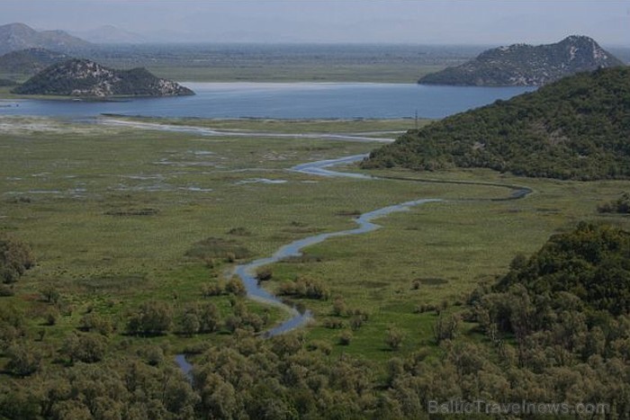 Skadarsko Jezero ir lielākais ezers Balkānos, kas ir bagātīgs ar floru un faunu
Foto: Leo Perunovic 58465