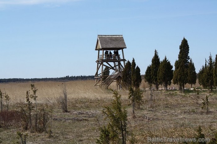 Kaņiera ezera putnu vērošanas tornis , ir viens no labākajiem putnu vērošanas vietām Latvijā.
Foto: Līga Jaunozola 59542