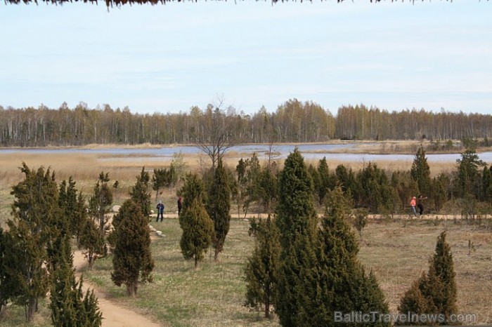 Ķaniera ezera putnu vērošanas tornī ir satopama lielākā jūras ērgļu kopiena Latvijā.
Foto: Līga Jaunozola Ķaniera ezera putnu vērošanas tornī ir satopama lielākā jūras ērgļu kopiena Latvijā.
Foto: Līga Jaunozola 59545