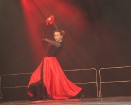 «Magic Dance Expo 2011» - www.magicdanceexpo.lv 45