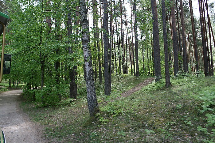 Latvijas etnogrāfiskais brīvdabas muzejs 60538
