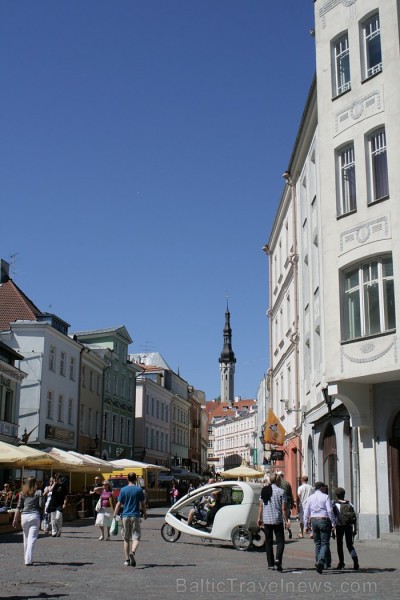 Tallinas centrālais vadmotīvs ir stāstu stāstīšana. To stāstītāji būs rakstnieki, mūziķi, mākslinieki un aktieri 61638