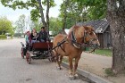 Baltijas valstīs vienīgais un pasaule viens no četriem Zirga muzejiem atrodas Lietuvā, un atspoguļo Lietuvas zirgkopības vēsturi 1