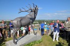 Venstpils svētku laikā, kas notiks no 5. līdz 7.augustam, Piedzīvojumu parkā tika atklāta skulptūra Staltbriežiem Kurzemē-100 1