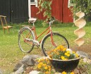 Lauku māja «Keltainen Talo» piedāvā viesiem arī aktīvo atpūtu , piemēram, ceļošanu ar riteņiem pa Somijas dienvidu neskarto dabu.Rezervē lidojumu Rīga 3